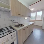 Rent 3 bedroom apartment of 1 m² in Brno