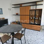 Rent 2 bedroom apartment of 50 m² in Magenta