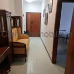 Rent 3 bedroom apartment of 140 m² in Padova