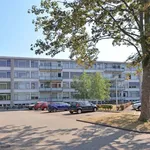 Rent 2 bedroom apartment of 30 m² in Wyckerpoort