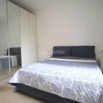 Rent 2 bedroom apartment of 50 m² in Lecco