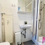 Rent 2 bedroom apartment of 40 m² in Nuremberg