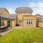 Rent 4 bedroom house in South East England