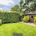 Rent 3 bedroom house in Cardiff