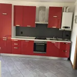 Rent 2 bedroom apartment of 55 m² in Piacenza