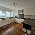 Rent 5 bedroom house of 121 m² in Haarlem