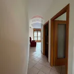 Rent 5 bedroom apartment of 85 m² in Ferrara