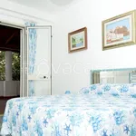 Rent 2 bedroom apartment of 80 m² in Messina