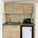 Rent 1 bedroom apartment in Brno