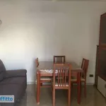 Rent 2 bedroom apartment of 50 m² in Palermo