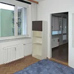 Rent 3 bedroom apartment in Brno