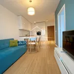 Rent 2 bedroom apartment of 35 m² in Szczecin