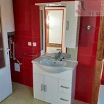 Pronájem 3+kk/B, 72 m2, po komplet. reko, Morašice ( CR )