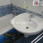 Rent 1 bedroom apartment of 40 m² in Zlín