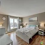  appartement avec 1 chambre(s) en location à Gatineau