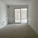 Rent 2 bedroom apartment of 60 m² in Bassano del Grappa