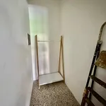 Rent 1 bedroom apartment of 65 m² in Torino