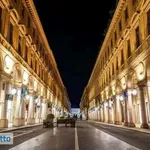 Rent 2 bedroom apartment of 45 m² in Turin