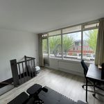 Rent 5 bedroom house of 124 m² in Groningen