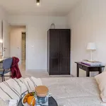 Rent a room in madrid