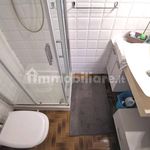 1-bedroom flat good condition, ground floor, Sala Baganza