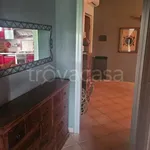 Rent 2 bedroom apartment of 55 m² in Rovellasca