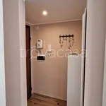 Rent 1 bedroom apartment of 30 m² in Milano