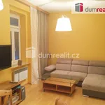 Rent 1 bedroom apartment of 45 m² in Praha