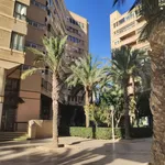 Rent 5 bedroom apartment of 160 m² in Elx / Elche