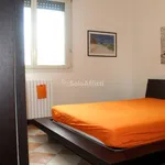 Rent 3 bedroom apartment of 100 m² in Garbagnate Milanese