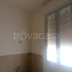 Rent 5 bedroom apartment of 160 m² in Bologna