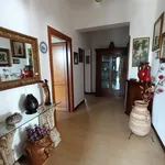 Rent 2 bedroom house of 60 m² in Anzio