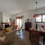 Rent 5 bedroom apartment of 120 m² in Follonica