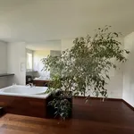 4 Bedrooms House, Modern house