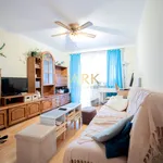 Rent 2 bedroom apartment of 47 m² in Rzeszów