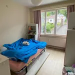 Rent 3 bedroom apartment in Namur