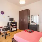 Rent a room of 120 m² in rome