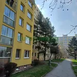 Rent 4 bedroom apartment of 63 m² in Praha 11