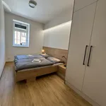 Rent 2 bedroom apartment of 54 m² in Brno