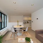 Huur 1 slaapkamer appartement van 35 m² in Gent