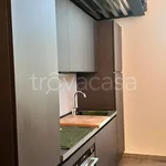 Rent 2 bedroom apartment of 54 m² in Trivolzio