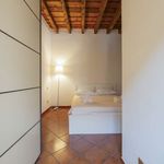 Rent 1 bedroom apartment of 40 m² in Milano