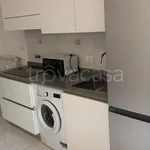 Rent 2 bedroom apartment of 55 m² in Torino