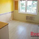 Rent 1 bedroom apartment of 28 m² in Brno