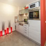 Rent 2 bedroom apartment of 45 m² in Nuremberg