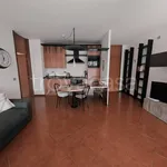 Rent 2 bedroom apartment of 81 m² in Basiglio