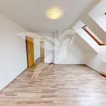 Pronájem bytu 2+1 43m²