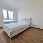 Rent 3 bedroom apartment of 64 m² in Kielce