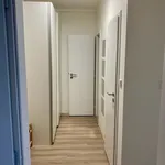 Rent 1 bedroom apartment in Brno