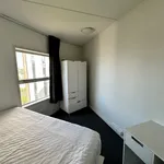 Rent 1 bedroom apartment in Auckland